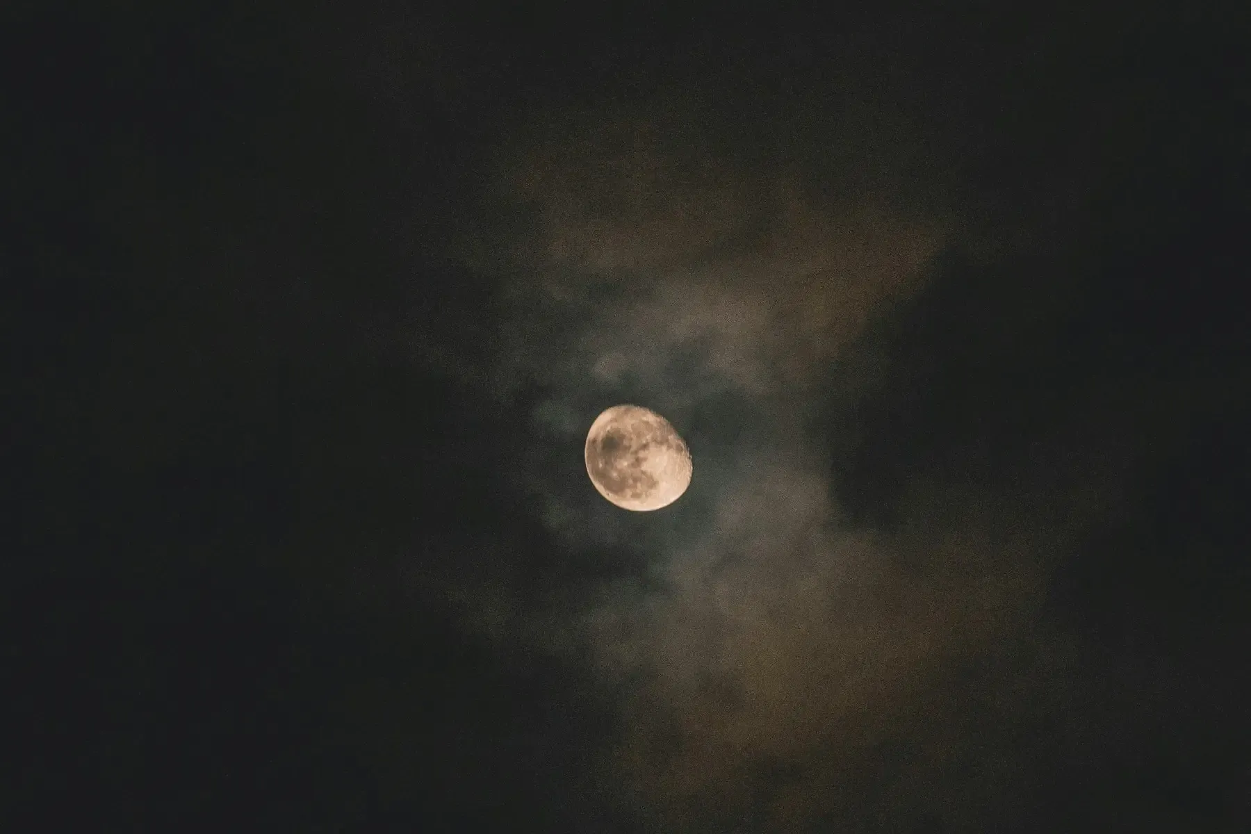 A mooncake presented in warm, low light
